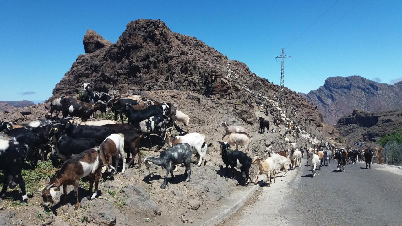 فيلا Casa Cueva Manuel Y Maria El Juncal المظهر الخارجي الصورة